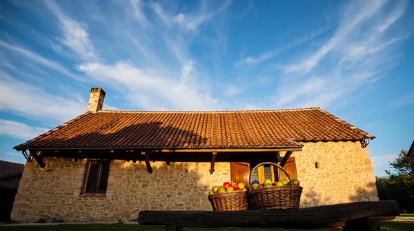 Couvreur à cognac : défis, stratégies et opportunités pour maîtriser la toiture en charente