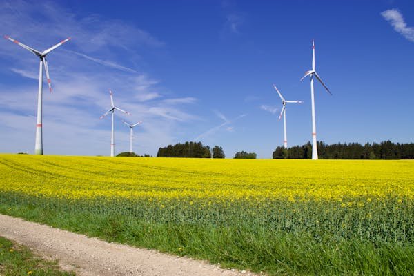 Nouvelles énergies : solutions innovantes pour la transition durable